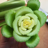 cut celery heart showing flower like shape
