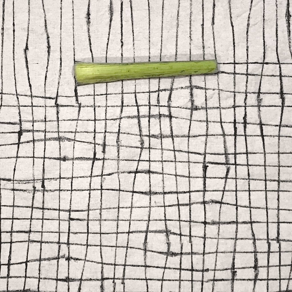 Betsy Marie using celery to print grid pattern